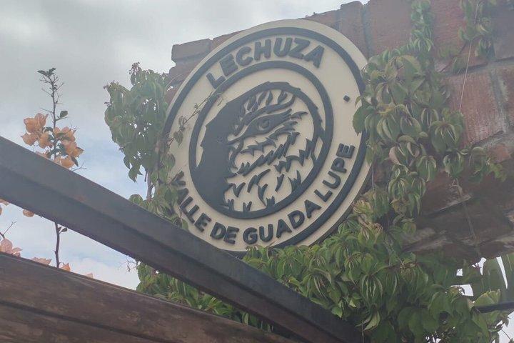 Private Tour in the Guadalupe Valley