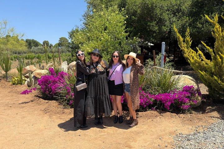 Private Tour in the Guadalupe Valley