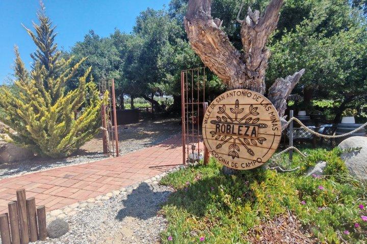 Private Tour in the Guadalupe Valley