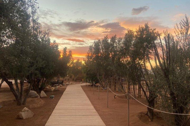 Private Tour in the Guadalupe Valley
