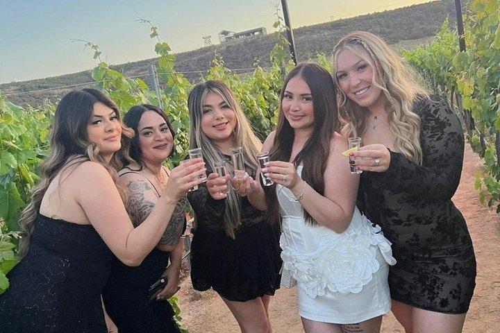 Private Tour in the Guadalupe Valley