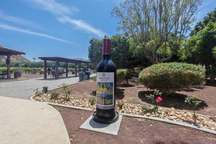 Private Tour in the Guadalupe Valley