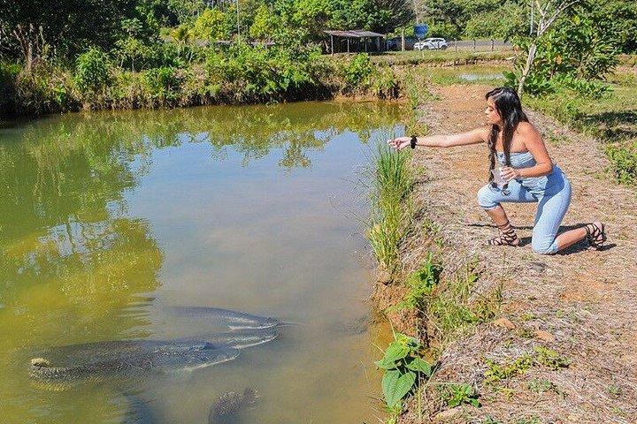 Besøg den ecuadorianske Amazonas