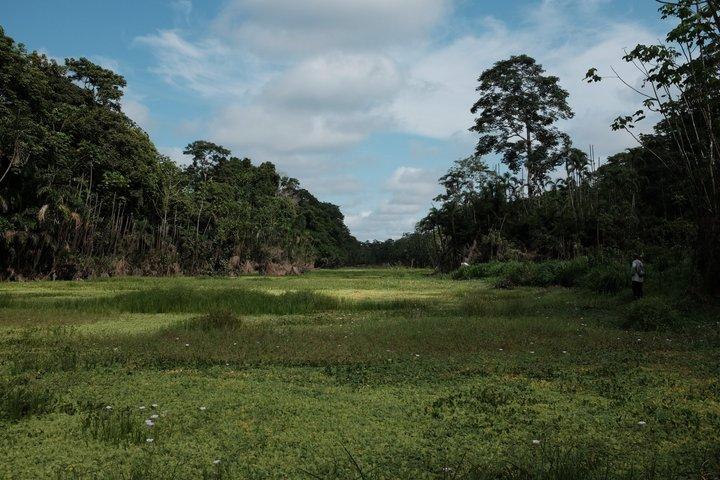 ドラド湖パカヤサミリア国立保護区での10日間の遠征