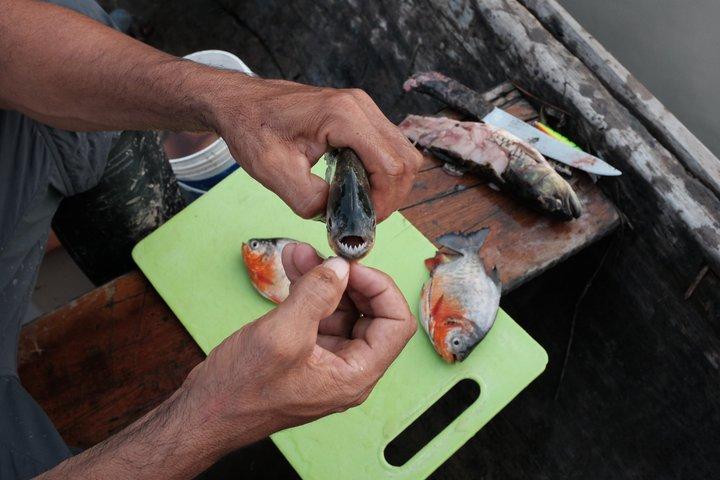 ドラド湖パカヤサミリア国立保護区での10日間の遠征