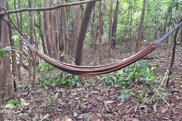 ドラド湖パカヤサミリア国立保護区での10日間の遠征