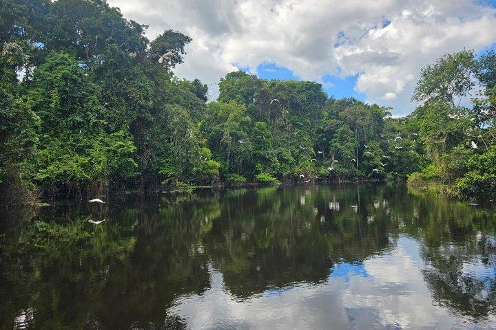 ドラド湖パカヤサミリア国立保護区での10日間の遠征