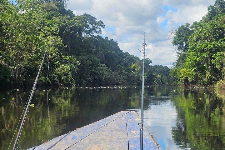 ドラド湖パカヤサミリア国立保護区での10日間の遠征