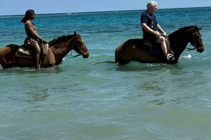 オチョ・リオスの竹筏貸切と乗馬