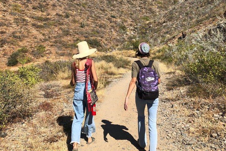 Tour a piedi di Todos Santos