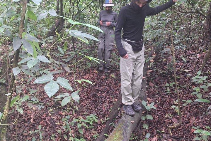 Amazon Discovery 4 Days and 3 Nights pacaya-samiria reserve