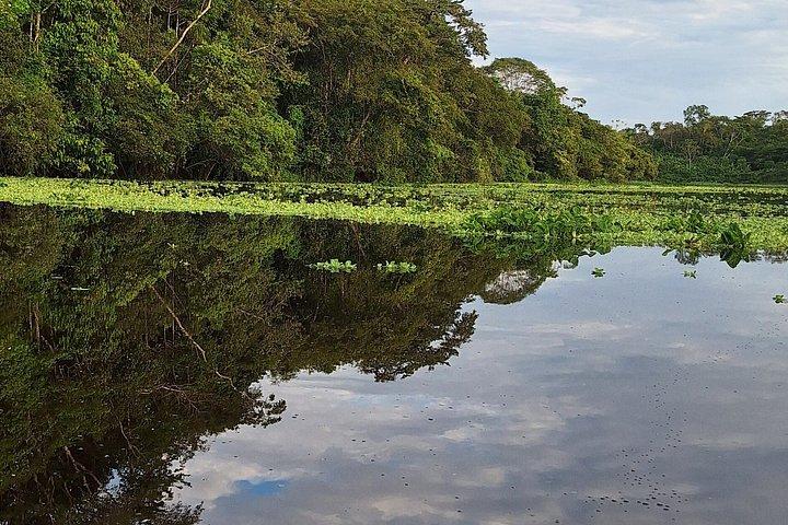 Amazon Discovery 4 Days and 3 Nights pacaya-samiria reserve