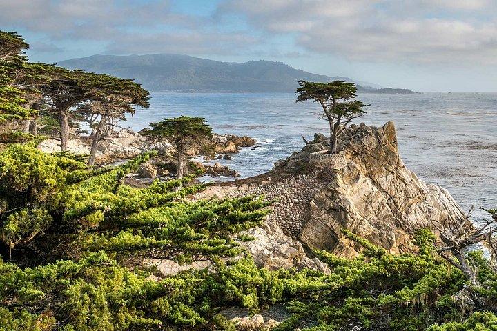 Monterey and Carmel Tour