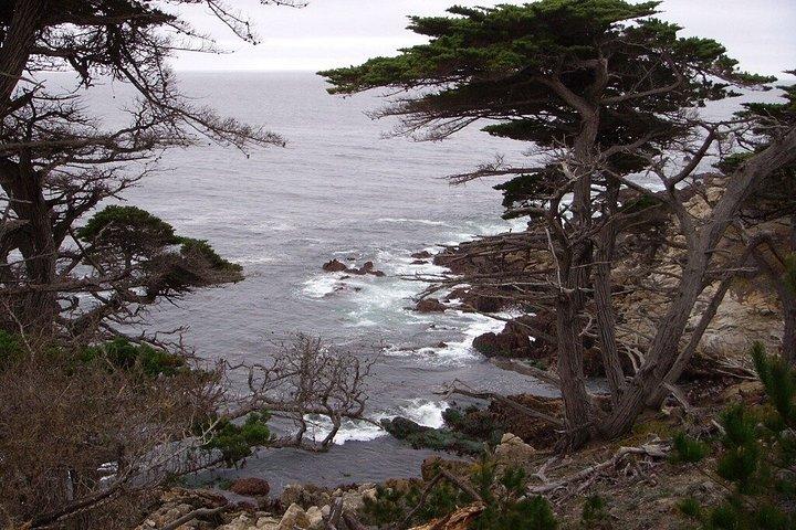 Monterey and Carmel Tour