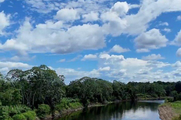 Amazon River Expeditions with Guide for 5 Days 4 Night Ecolodge