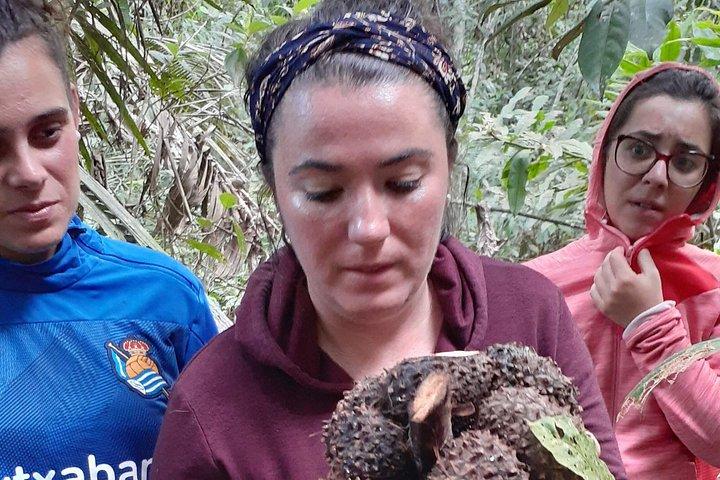 Amazon River Expeditions with Guide for 5 Days 4 Night Ecolodge
