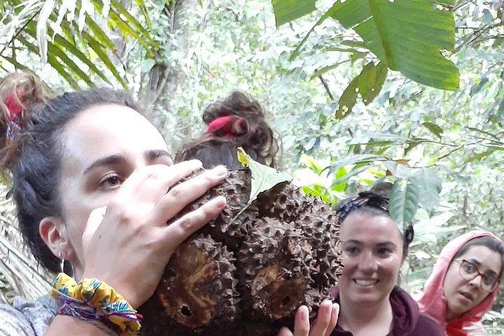 Amazon River Expeditions with Guide for 5 Days 4 Night Ecolodge