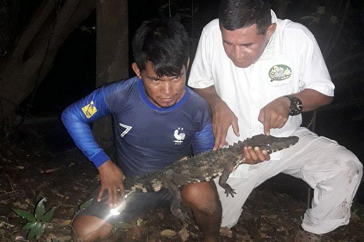 アマゾン パラダイス パカヤ サミリア国立保護区 4泊5日