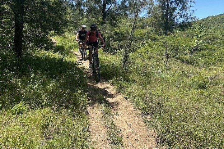 Tour in mountain bike dei sentieri del Monte Albán e dell'Atzompa | Piccolo gruppo