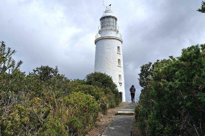 Guided Cape Bruny Lighthouse Tour - Bruny Island