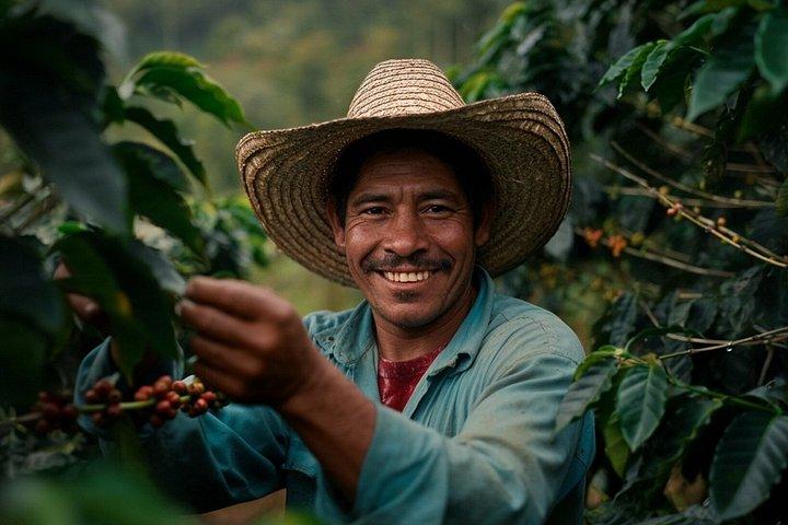 Medellin Privat Kaffe Farm Tour och utsikt över landsbygden