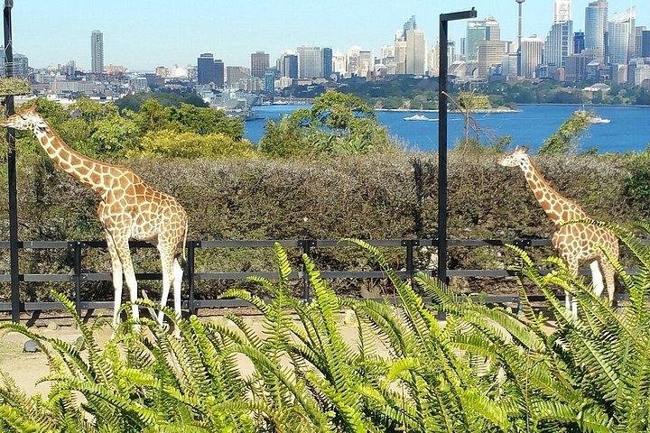 Visite audioguidée de Sydney