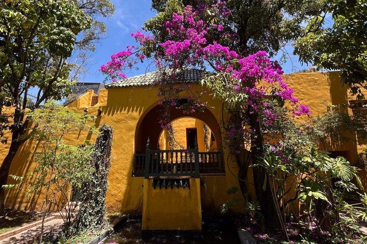 Explore Colonia Americana Architecture and Culture Tour