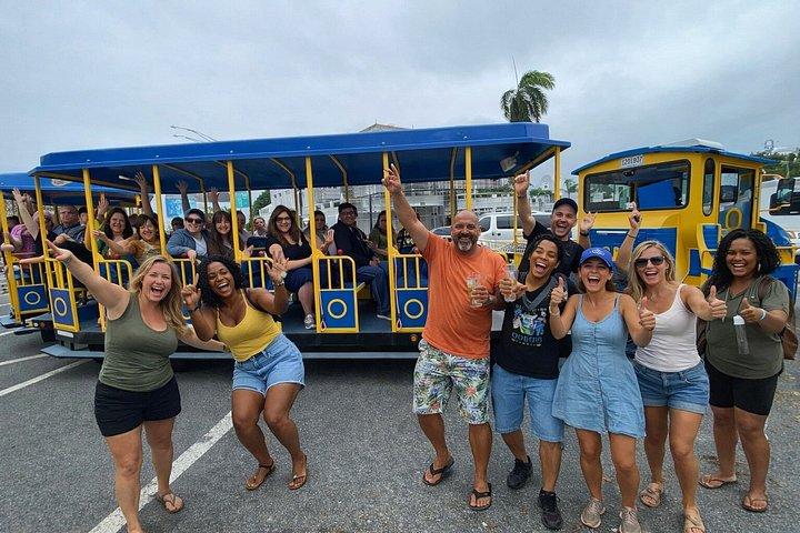 San Juan Trolley and Sightseeing Tour