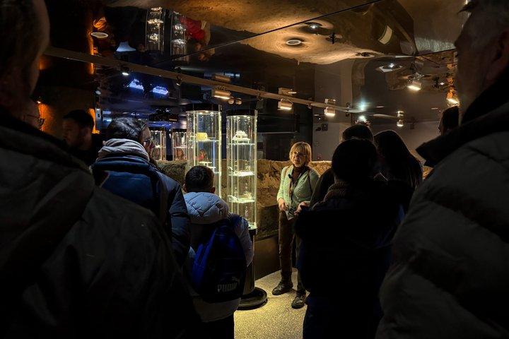 クラクフの小グループRynek Underground Museumガイド付きツアー