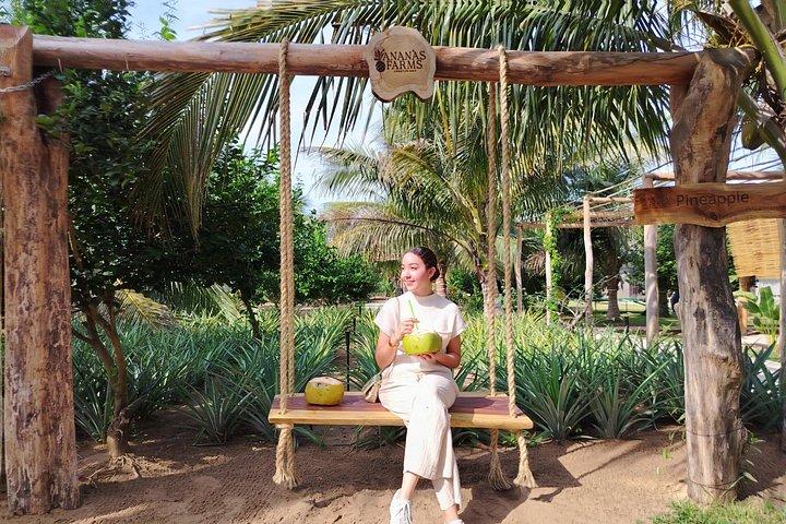 Pineapple Plantation Visit & Sinaloan Farm-to-Table Brunch