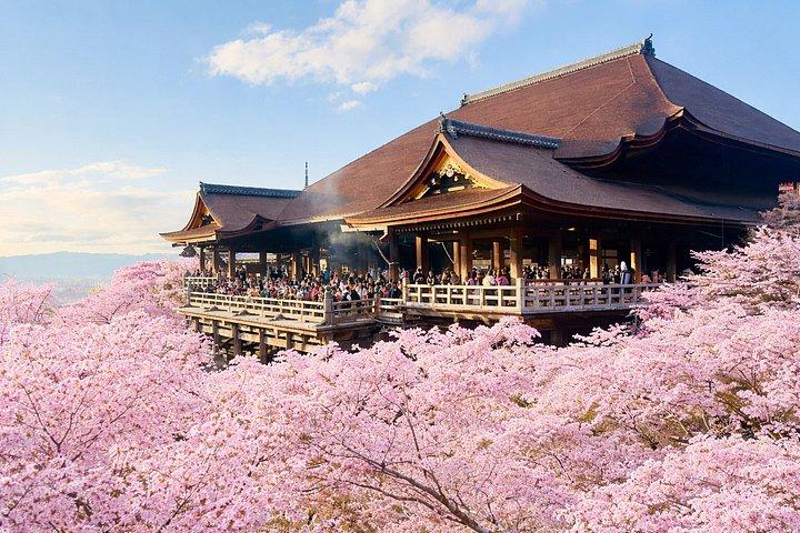 京都ツアー：プライベート全日アイコンハイライト英語ガイドバン
