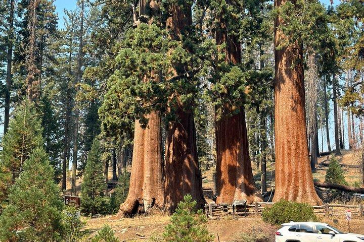 Los Angeles to Kings Canyon and Yosemite Tour de 2 dias