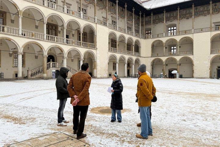 Wawel Castle, Cathedral, & Rynek Underground Tour med frokost