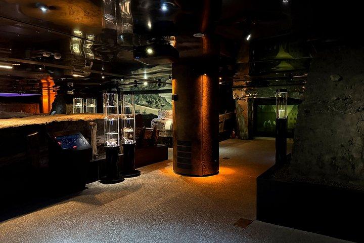 ヴァヴェル城＆大聖堂＆リネック地下ツアー（ランチ付き）