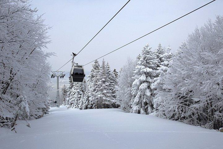Istanbul Bursa and Uludag Mountain Tour with Cable Car and Lunch