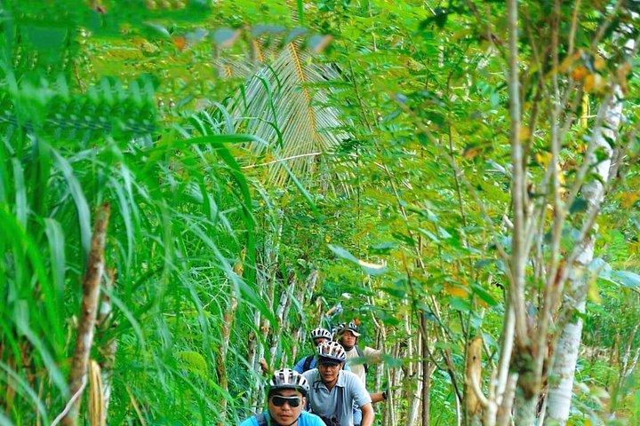Bali bjerge og landsbyer cykeltur