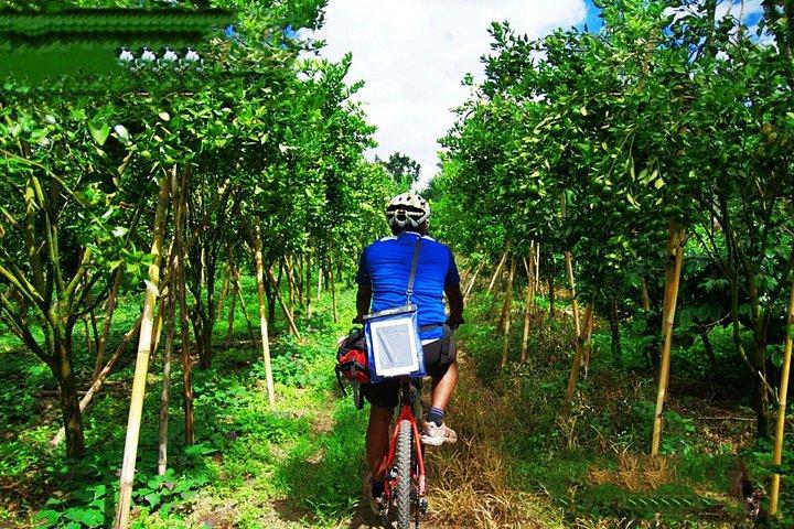 Bali bjerge og landsbyer cykeltur