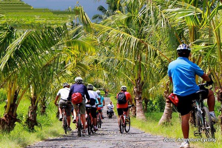 Bali bjerge og landsbyer cykeltur