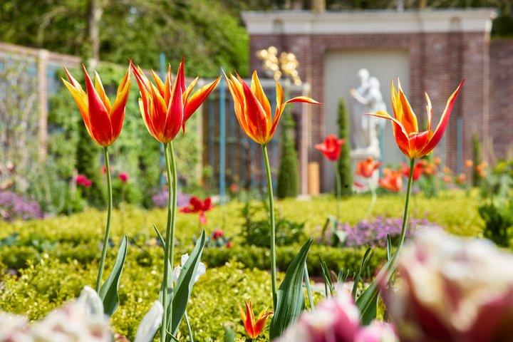Royal Palace Paleis Het Loo Entrance Ticket in Apeldoorn