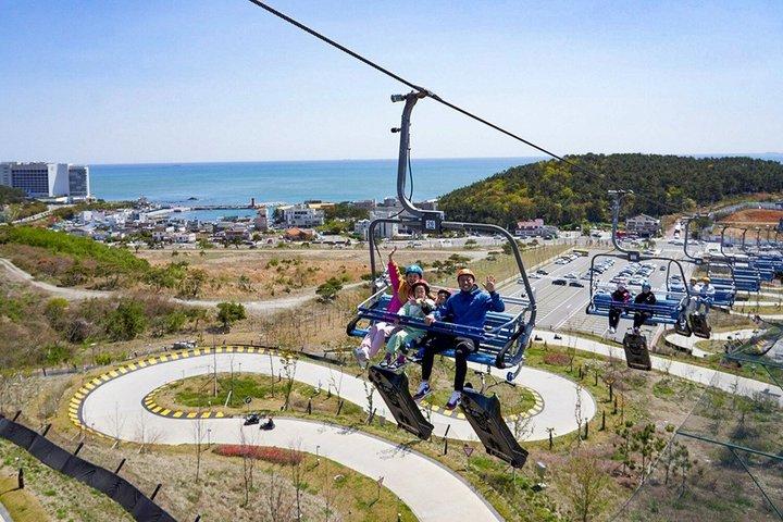 Skyline Rodelen Ticket Busan