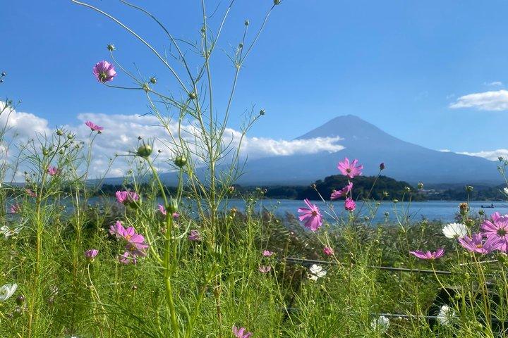 日本の宝10日間の旅