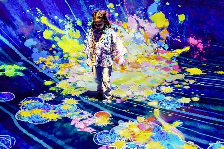 チームラボ現象アブダビチケット