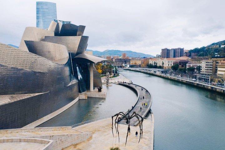 Tour privado al Museo Guggenheim Bilbao con guía local