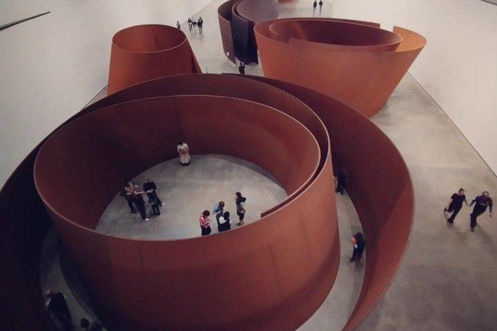 ビルバオ・グッゲンハイム美術館プライベートツアー（現地ガイド付き）