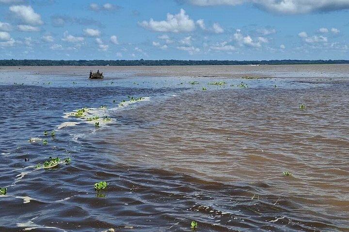 モンキーアイランド、アマゾン川、在来水生生物 - すべてのチケット