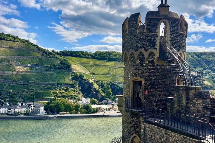 Tour delle cantine del castello e del palazzo della valle del Reno da Francoforte