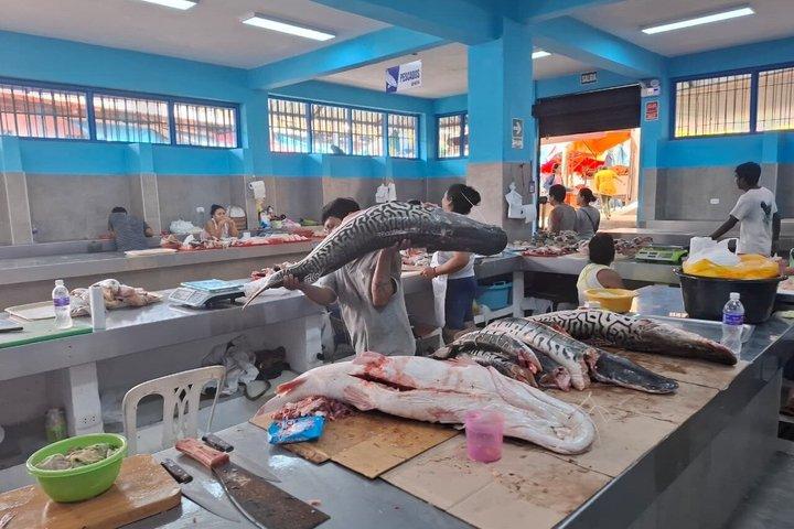 ベレン市場、水上都市、アマゾン川のプライベート ツアー