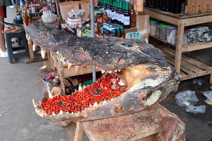 ベレン市場、水上都市、アマゾン川のプライベート ツアー
