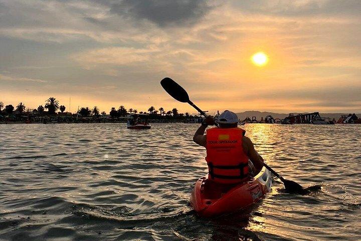 Flamingo Sighting in a Kayak