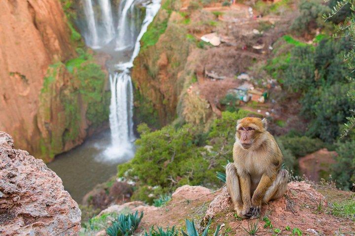 マラケシュからウズード滝への日帰り旅行（現地ガイドとボート付き）
